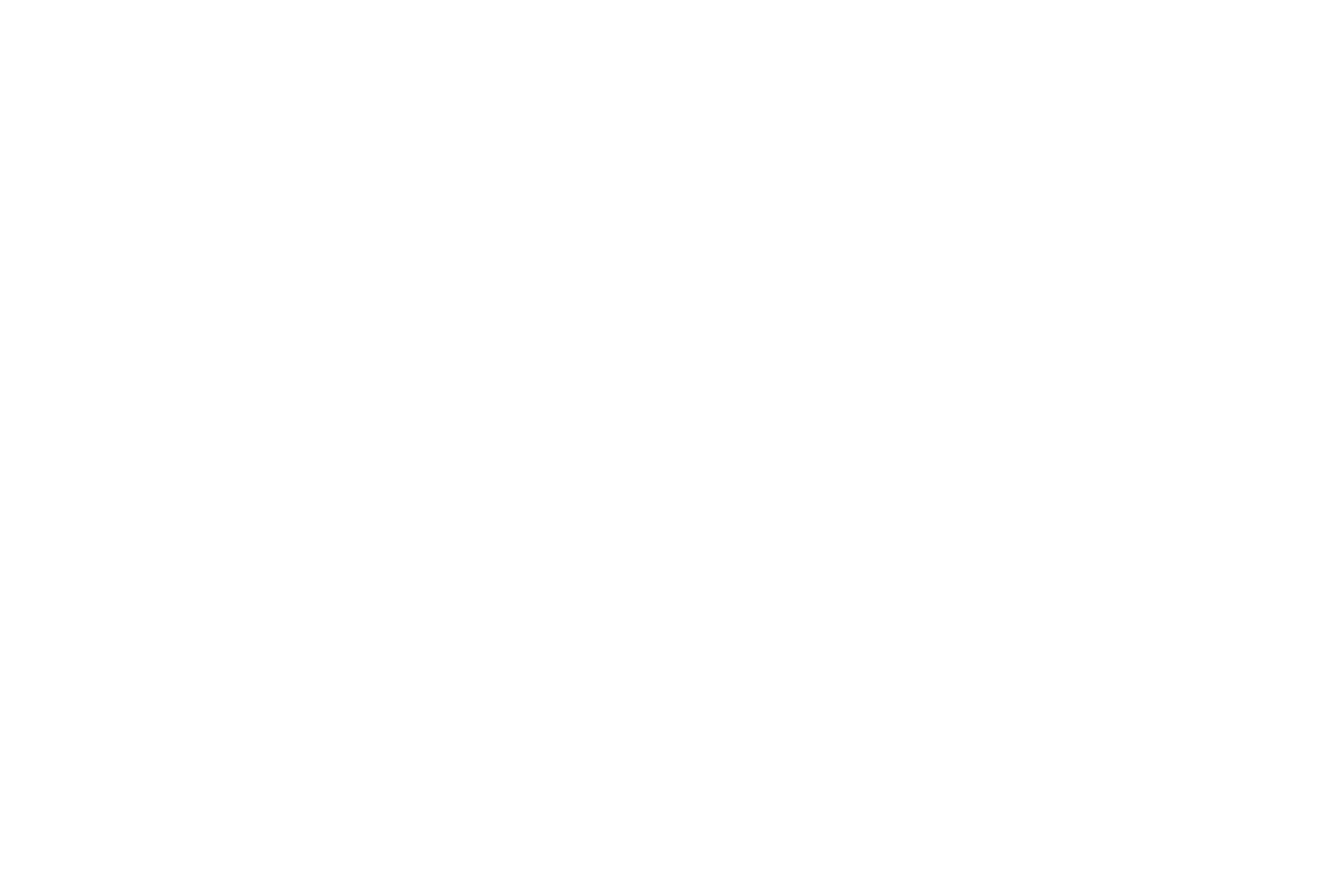 TECHY-Logo_BLANC